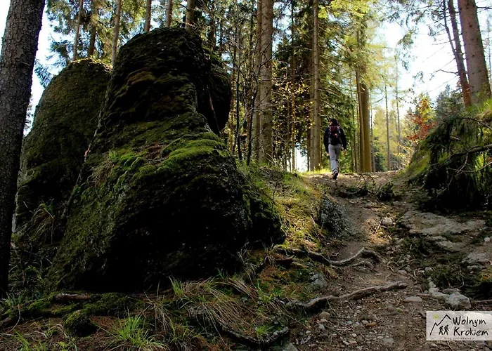 Apartman Black&white - Z Ruska Bania I Sauna *