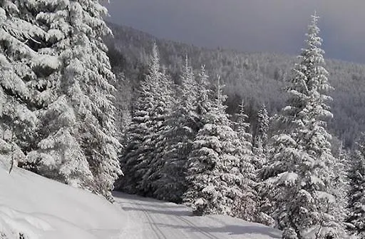 Black&white - Z Ruska Bania I Sauna Lejlighed